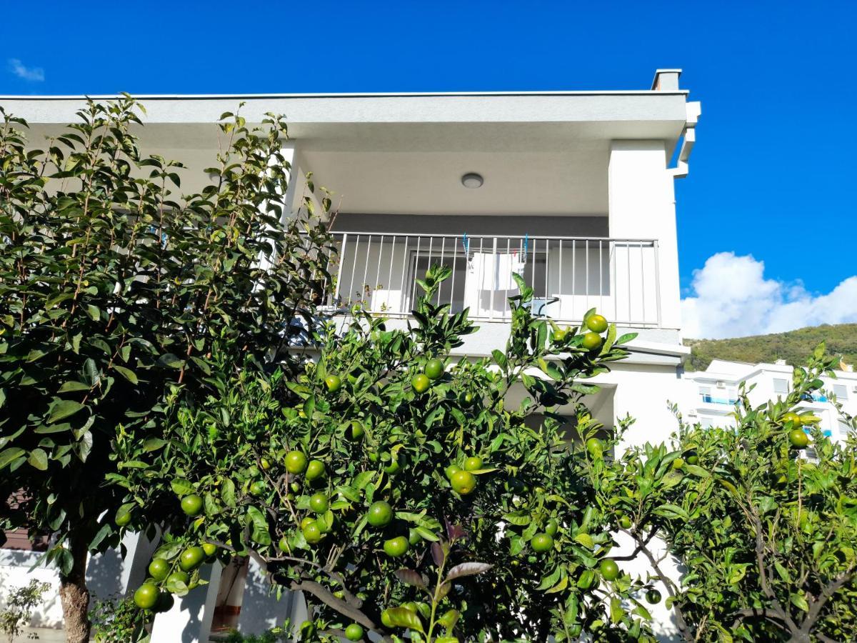 Guest House Djonovic Petrovac Екстериор снимка