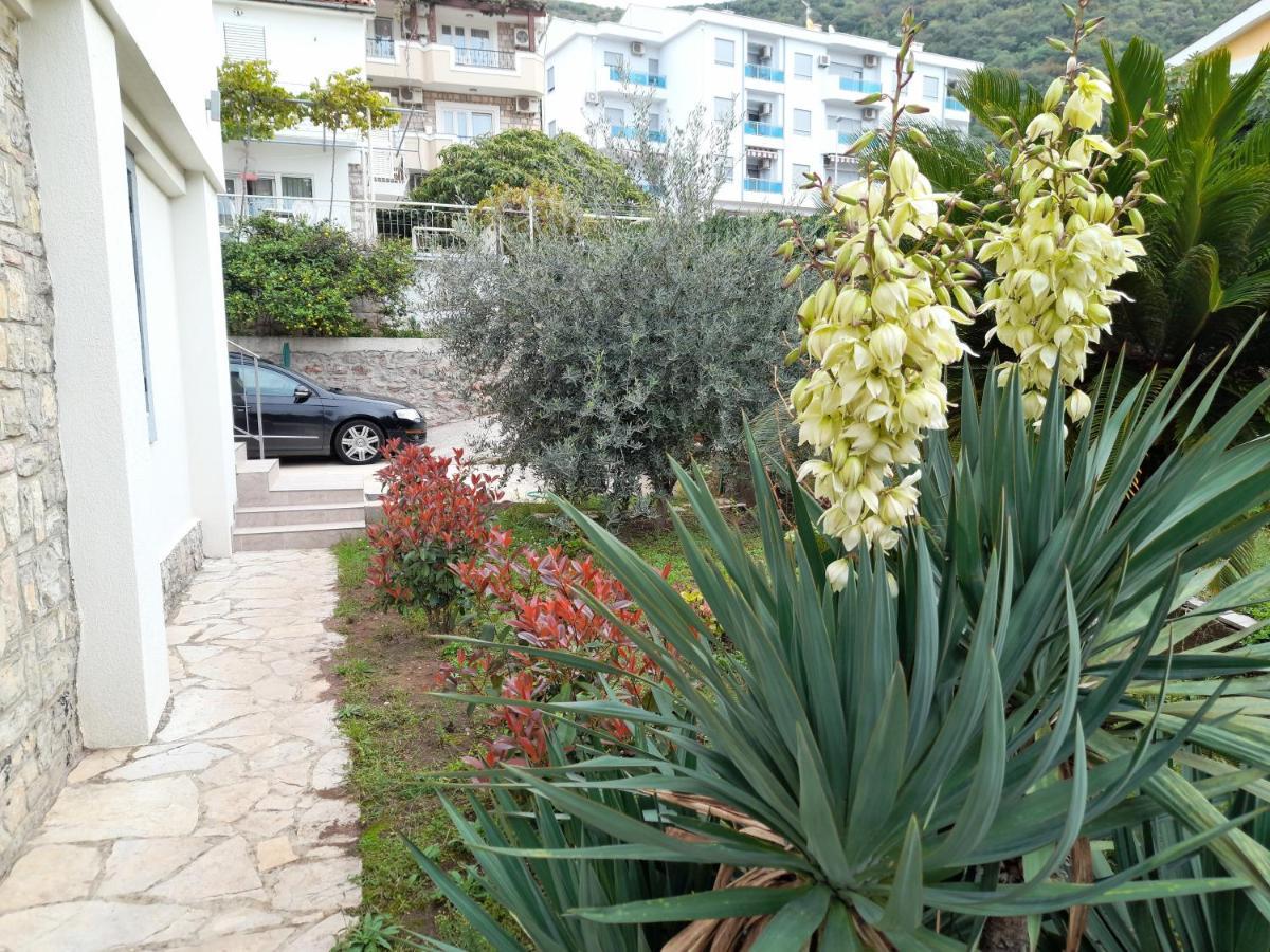 Guest House Djonovic Petrovac Екстериор снимка