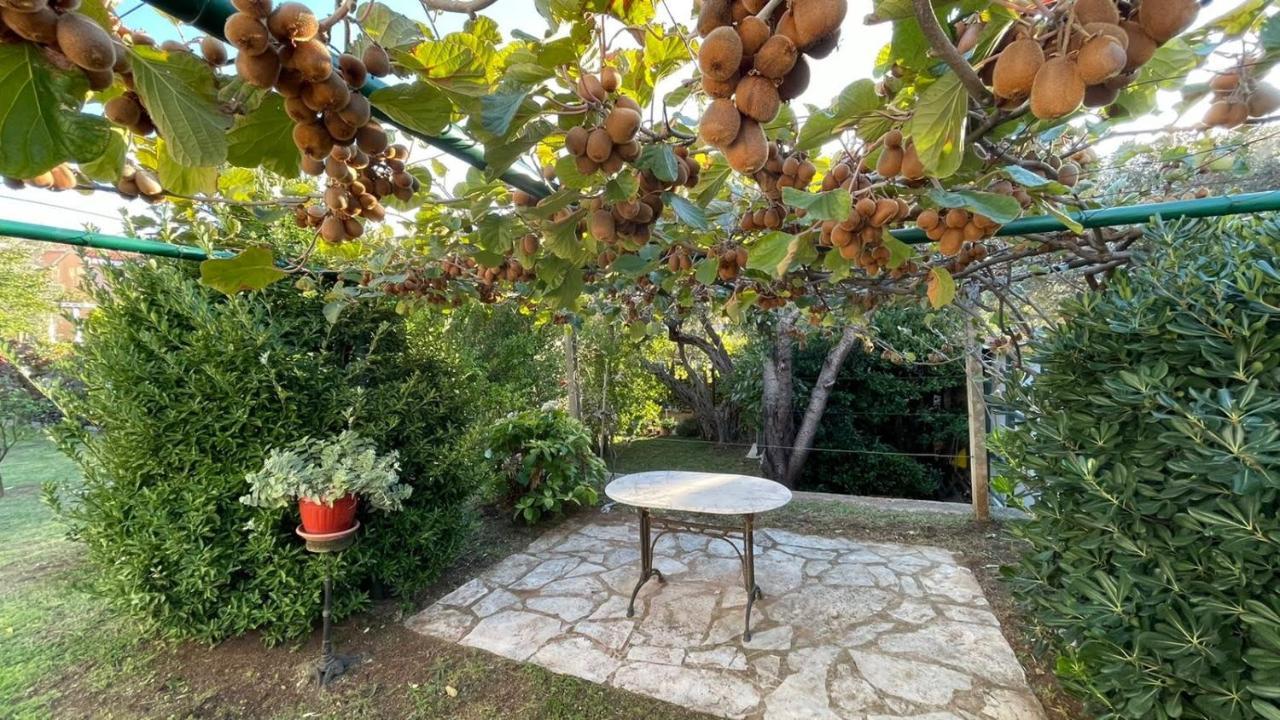Guest House Djonovic Petrovac Екстериор снимка
