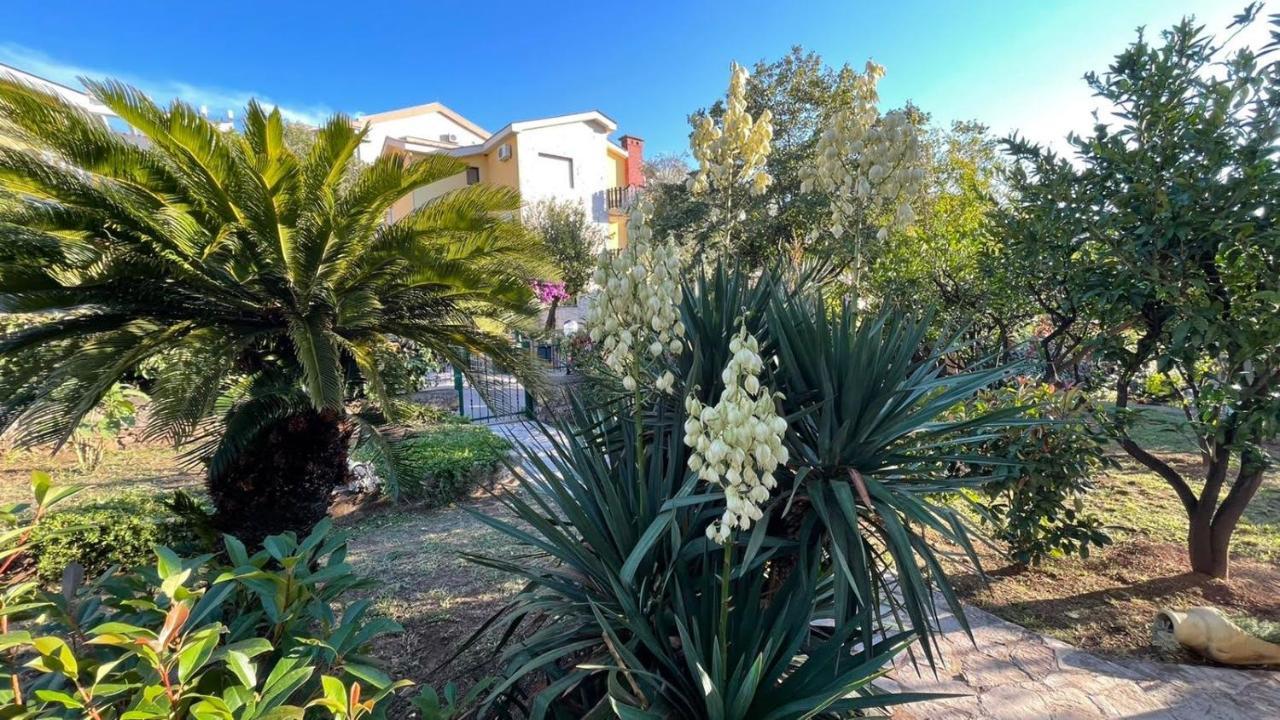 Guest House Djonovic Petrovac Екстериор снимка