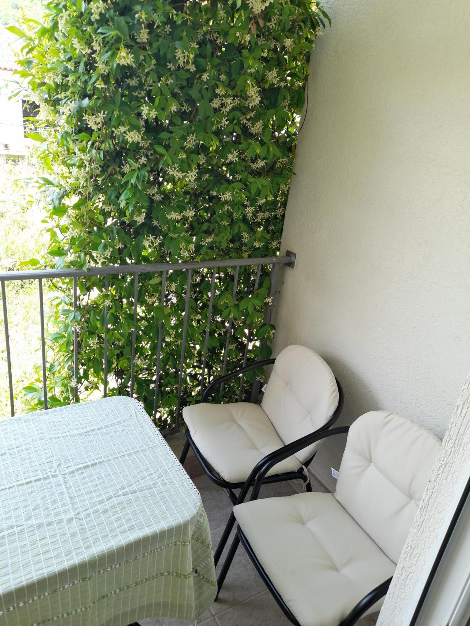 Guest House Djonovic Petrovac Екстериор снимка