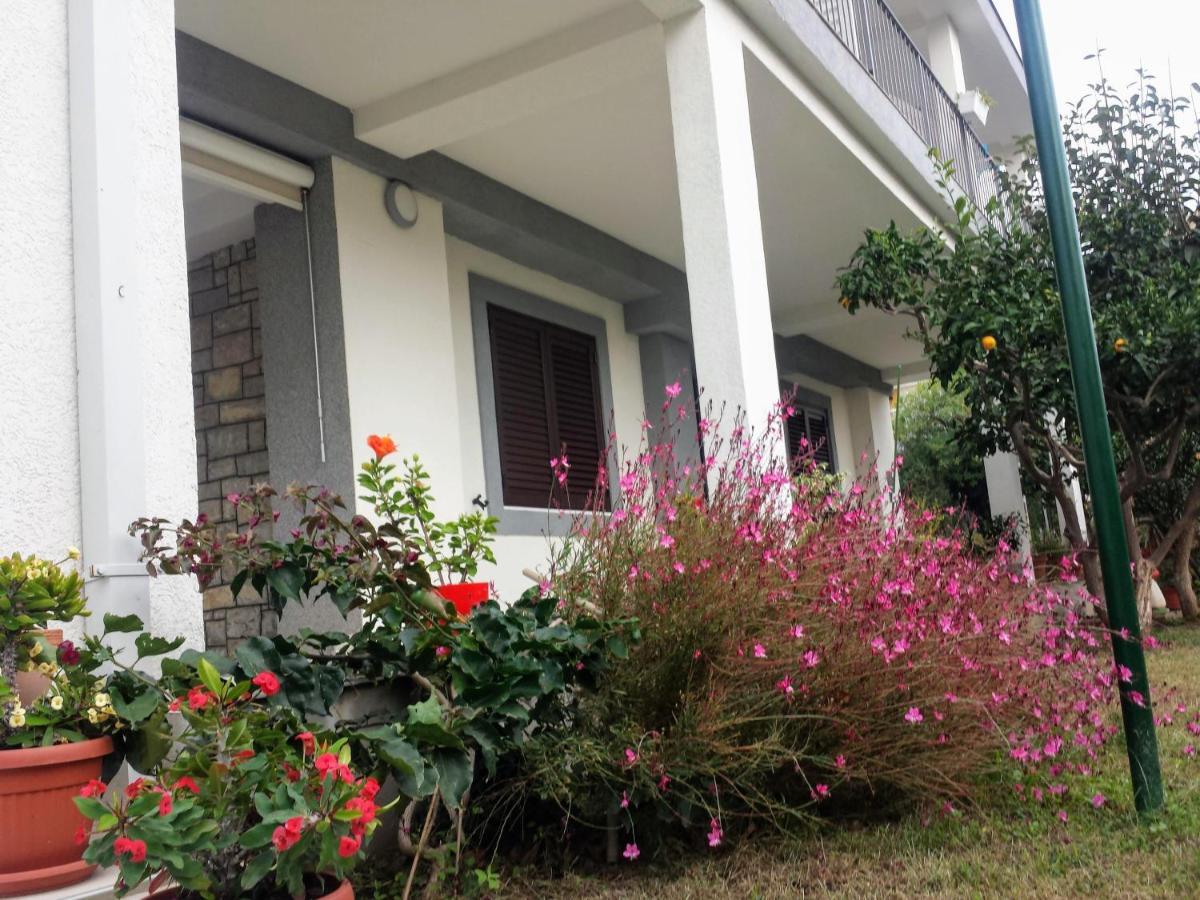 Guest House Djonovic Petrovac Екстериор снимка