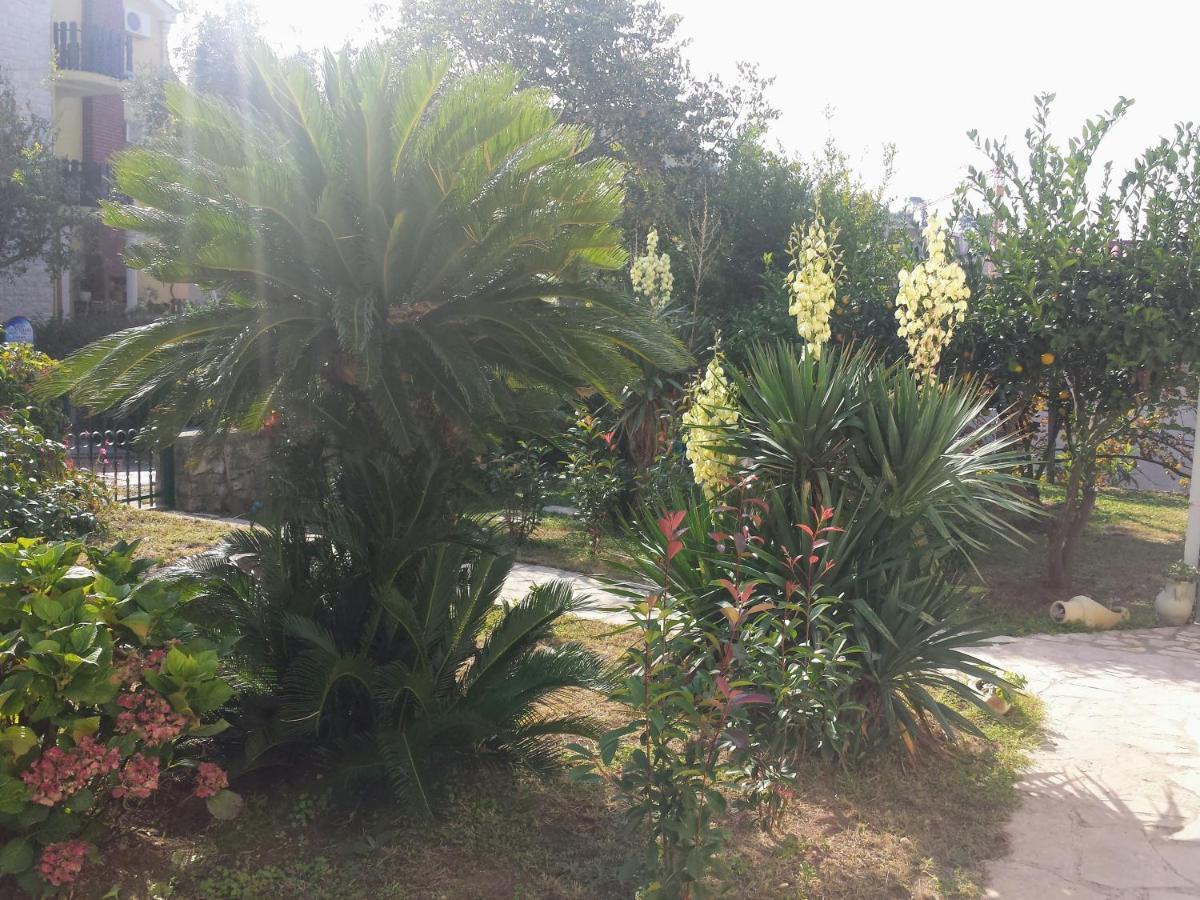 Guest House Djonovic Petrovac Екстериор снимка