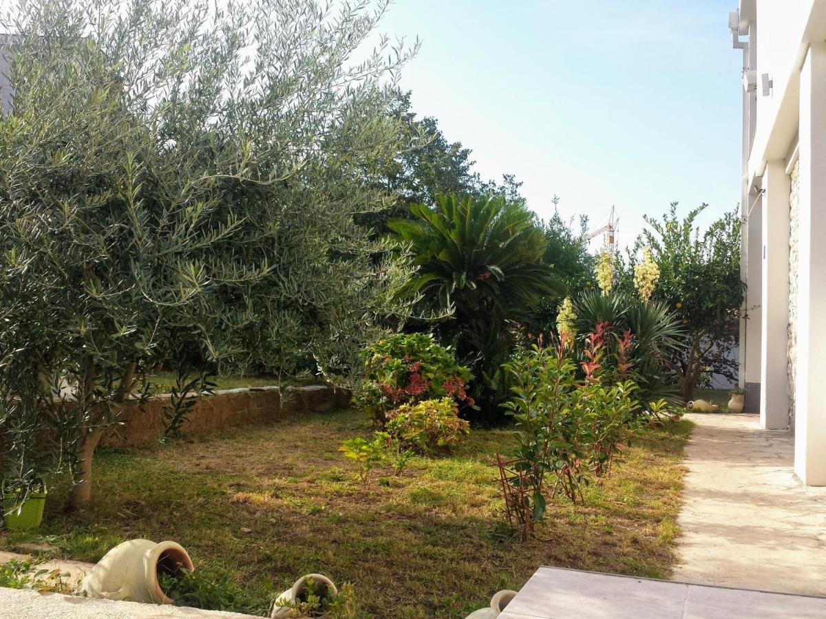 Guest House Djonovic Petrovac Екстериор снимка
