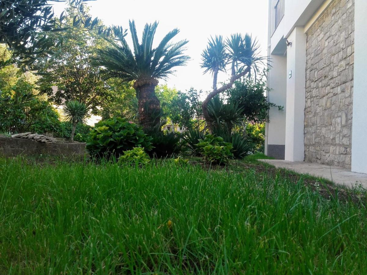 Guest House Djonovic Petrovac Екстериор снимка