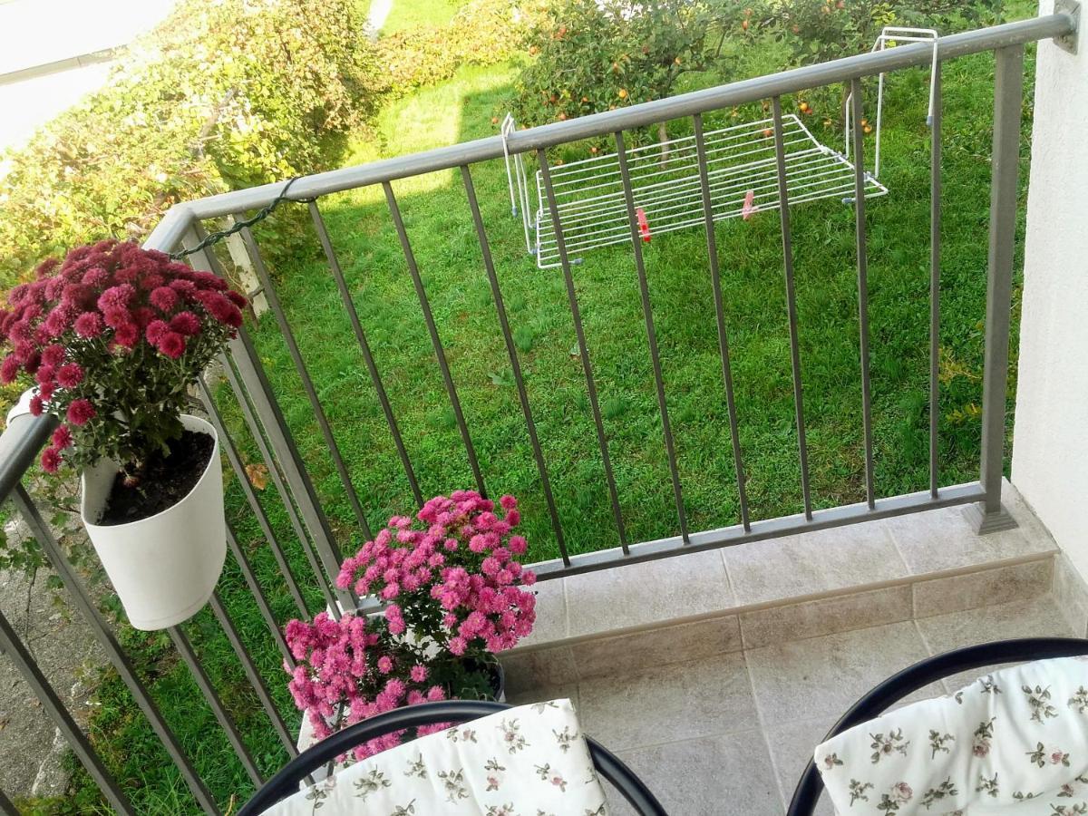 Guest House Djonovic Petrovac Екстериор снимка